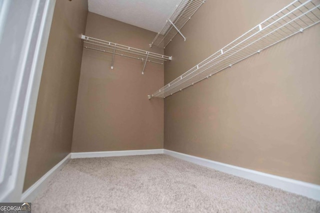 spacious closet featuring carpet flooring