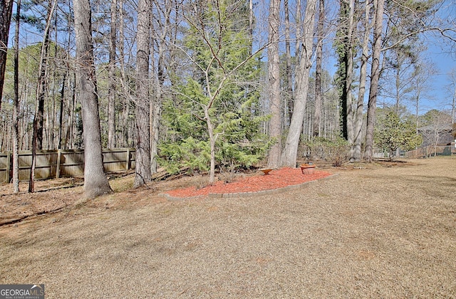 view of yard featuring fence