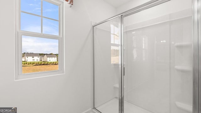 full bathroom featuring a shower stall