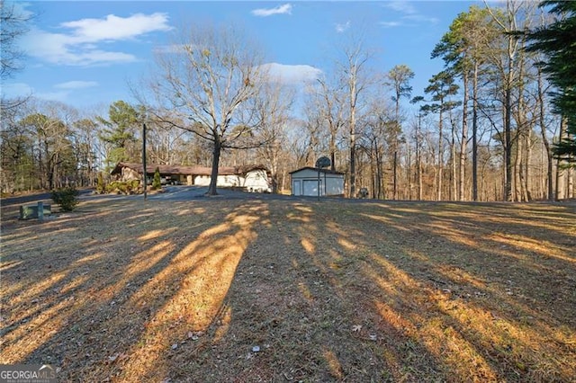 view of yard with a storage shed and an outbuilding