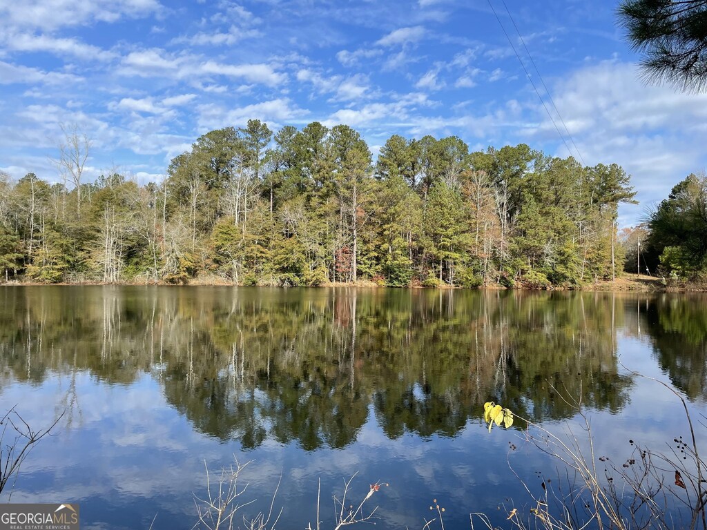 1775 Brown Rd, Hephzibah, GA 30815