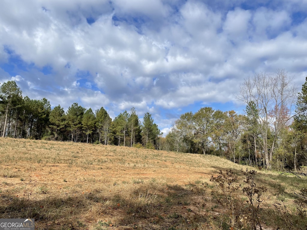 1775 Brown Rd, Hephzibah, GA 30815