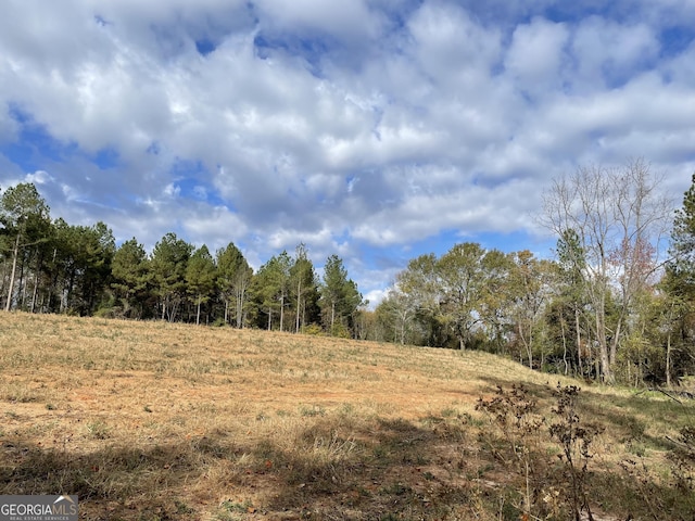 Listing photo 3 for 1775 Brown Rd, Hephzibah GA 30815