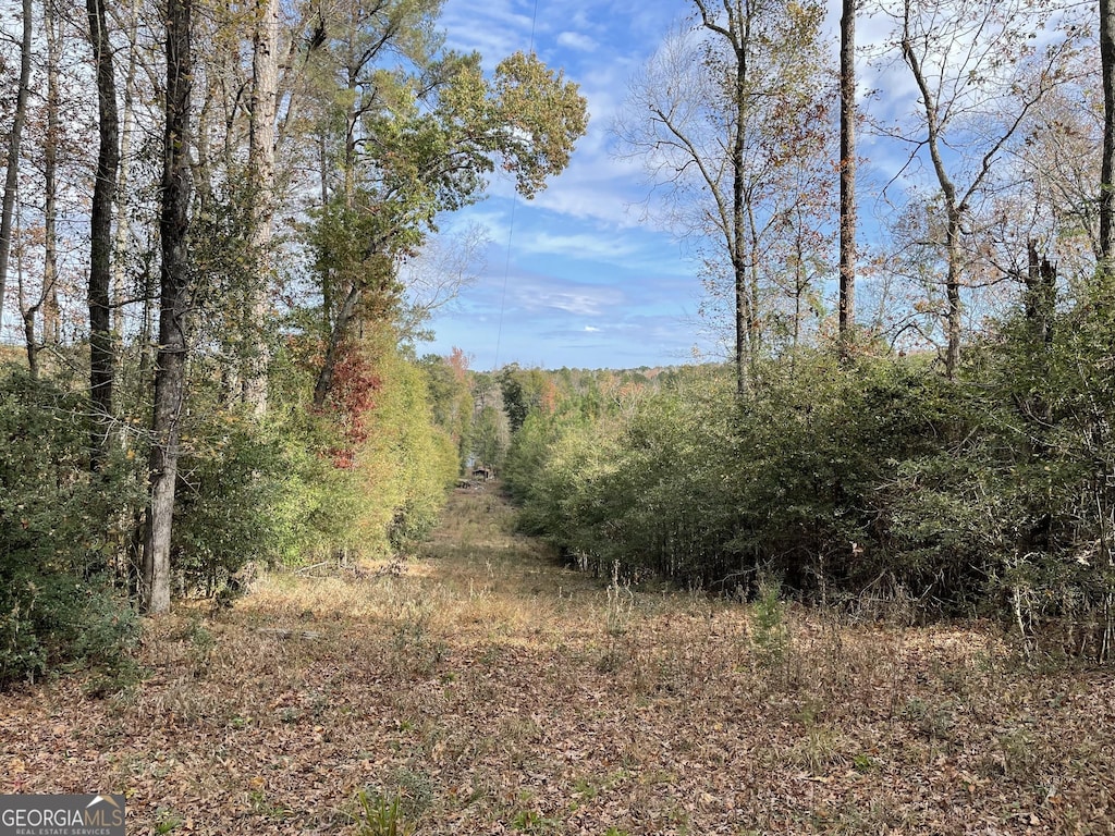 1775 Brown Rd, Hephzibah, GA 30815