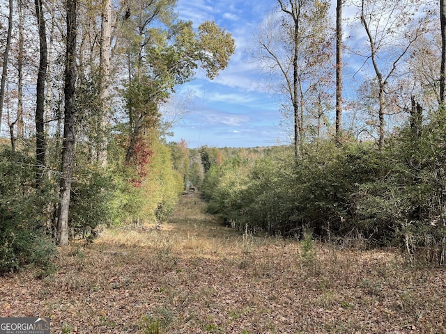 1775 Brown Rd, Hephzibah, GA 30815