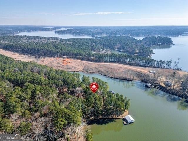 bird's eye view featuring a water view and a wooded view