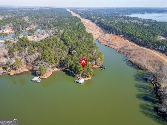 birds eye view of property featuring a water view and a wooded view