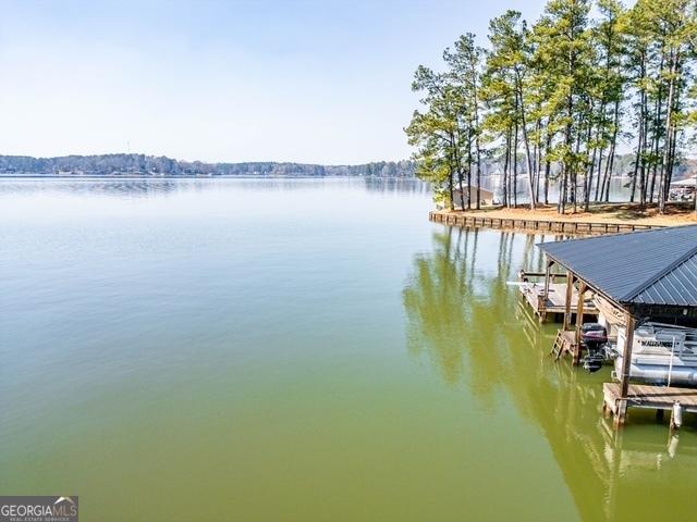 dock area with a water view