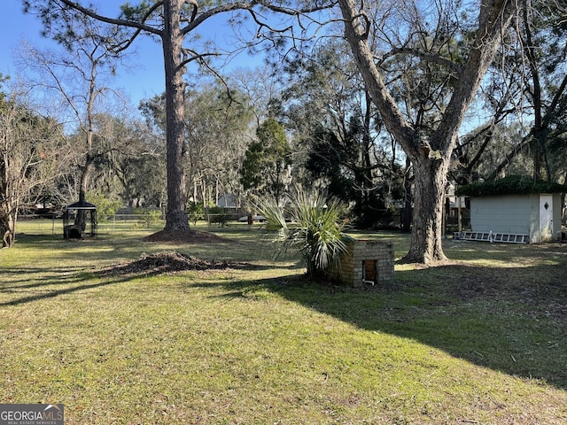 view of yard with an outdoor structure and a shed