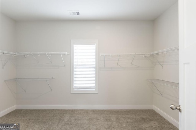 walk in closet with carpet and visible vents