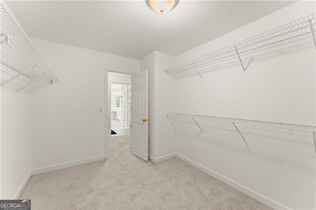 walk in closet featuring carpet