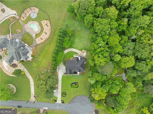 bird's eye view