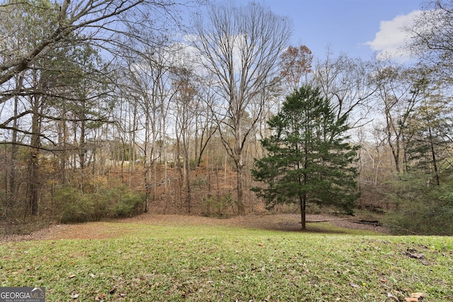 view of yard with a wooded view