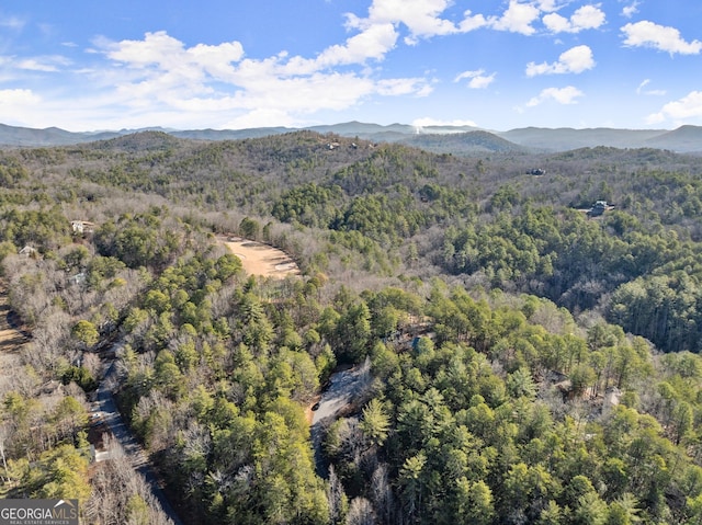 birds eye view of property featuring a mountain view and a view of trees