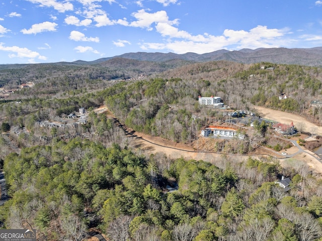 birds eye view of property with a mountain view and a view of trees