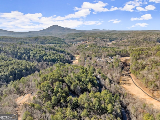 bird's eye view with a mountain view and a view of trees