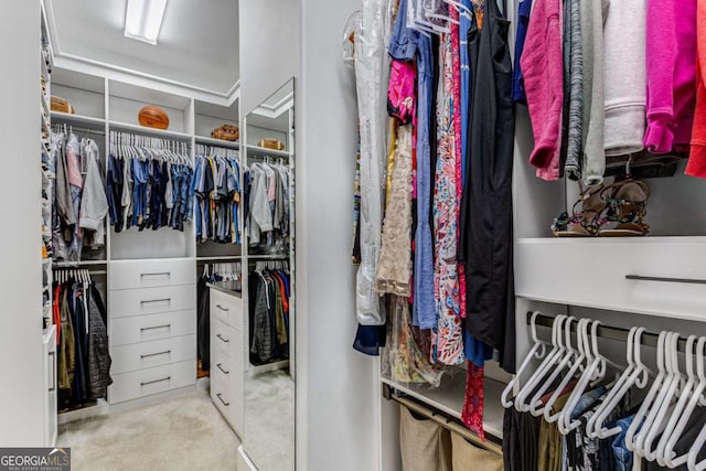 spacious closet with carpet floors