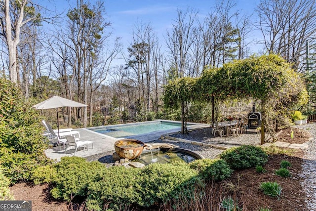 outdoor pool featuring a patio area