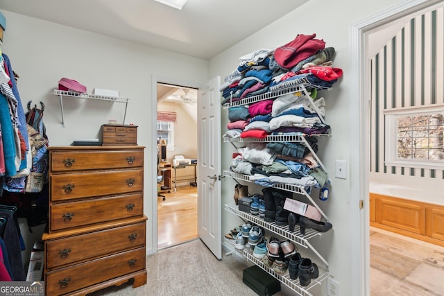 view of walk in closet