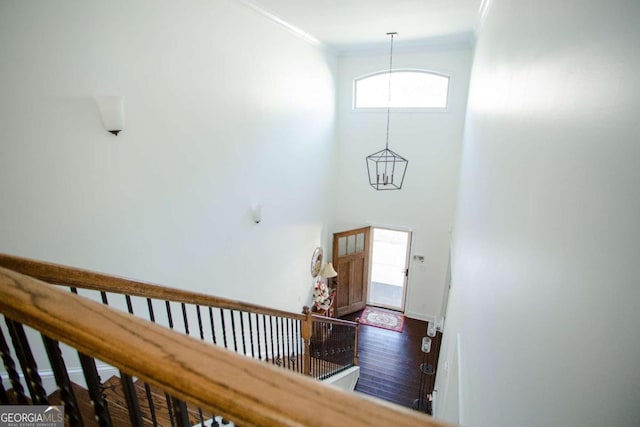 entrance foyer featuring ornamental molding, baseboards, and wood finished floors