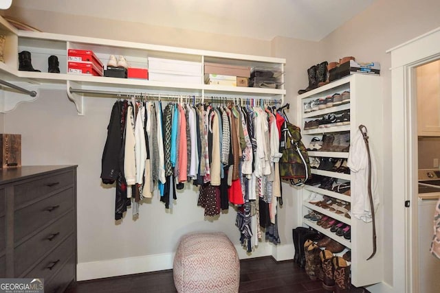 spacious closet featuring dark wood-style flooring