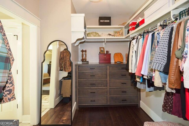 walk in closet with dark wood-style floors