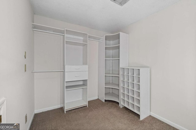 walk in closet with carpet and visible vents