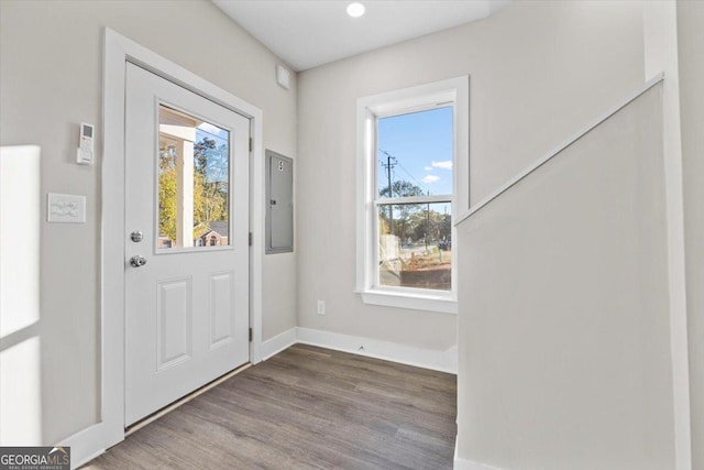 entryway featuring electric panel, baseboards, and wood finished floors