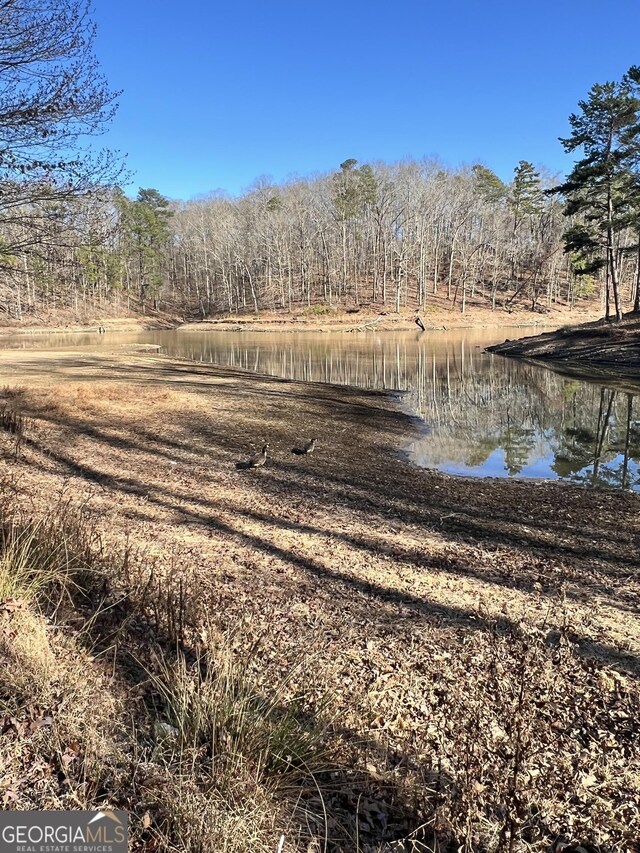 4385 Coursey Lake Rd, Douglasville, GA 30135