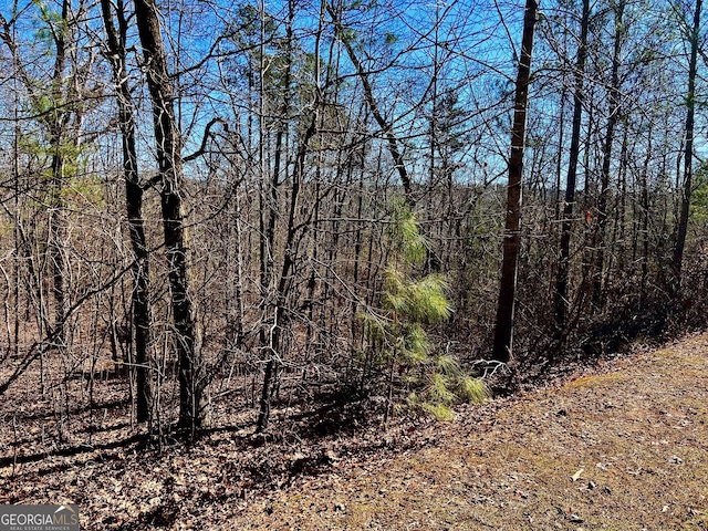 Listing photo 3 for 32 Harris Creek Rd, Ellijay GA 30540