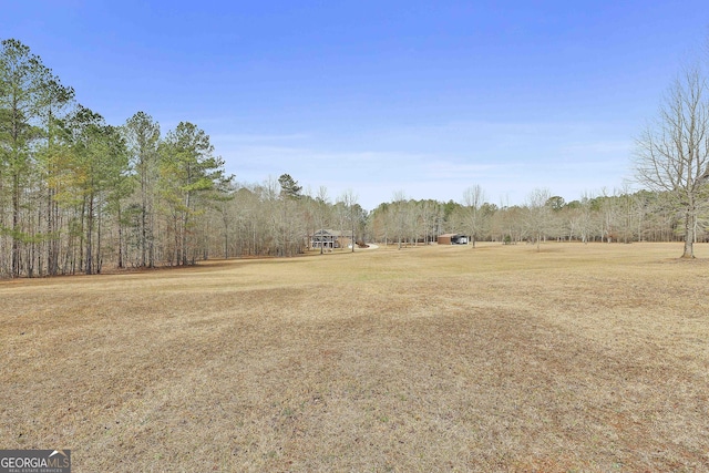 view of yard featuring a forest view