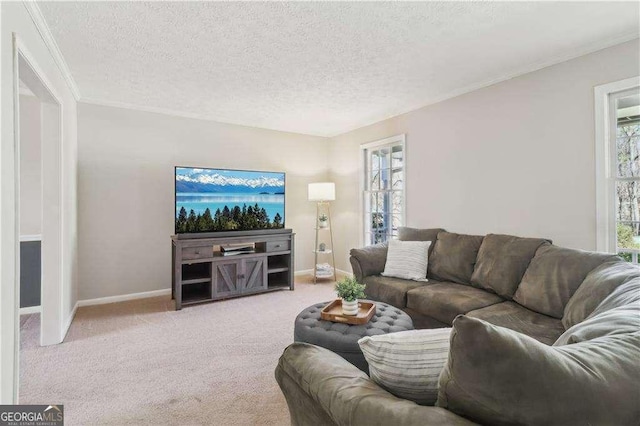 living room featuring light carpet, crown molding, baseboards, and a textured ceiling