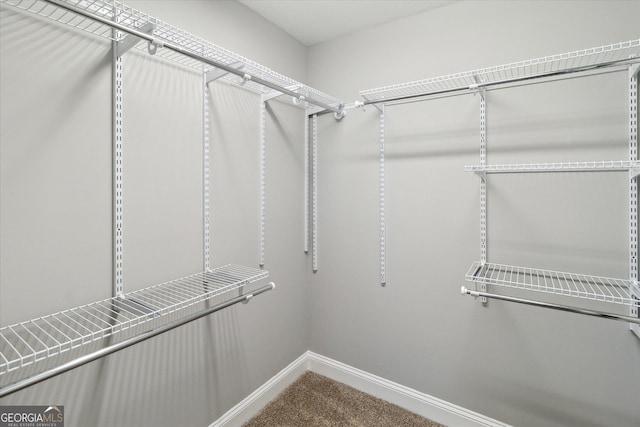 walk in closet featuring carpet