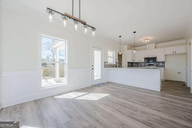 3800 George Williams Rd, Monroe, GA 30656 - kitchen featuring stainless steel appliances, white cabinetry, wainscoting, crown molding, and pendant lighting