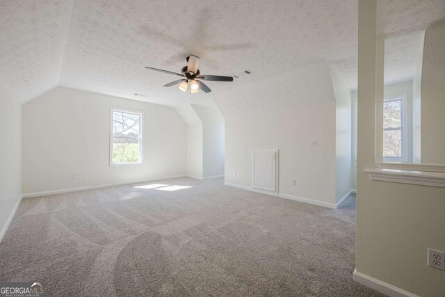 3800 George Williams Rd, Monroe, GA 30656 - additional living space with baseboards, visible vents, vaulted ceiling, a textured ceiling, and carpet floors