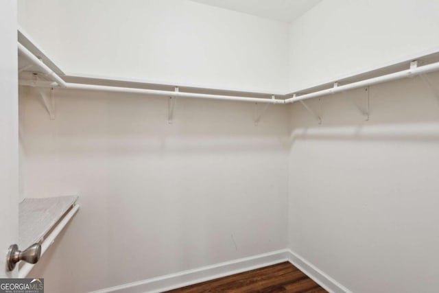 spacious closet with dark wood finished floors