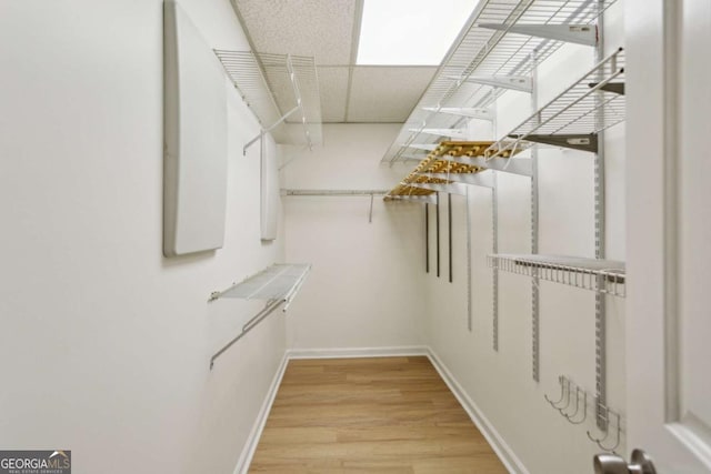 walk in closet with light wood finished floors and a drop ceiling