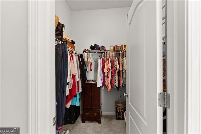 spacious closet featuring carpet floors