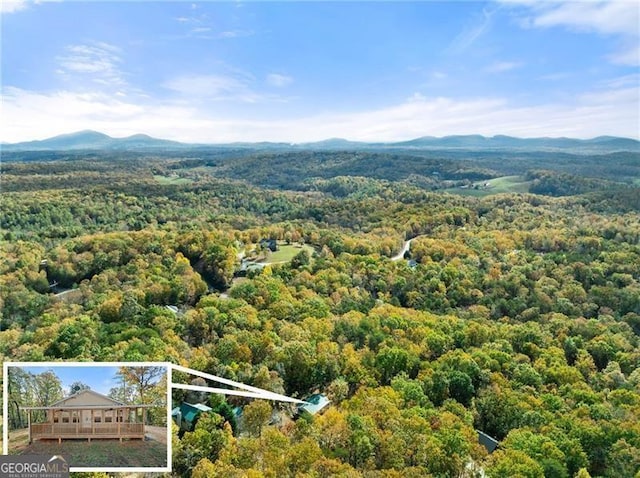 birds eye view of property featuring a mountain view and a view of trees