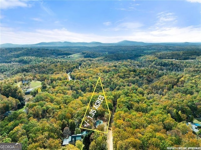 birds eye view of property with a mountain view and a view of trees