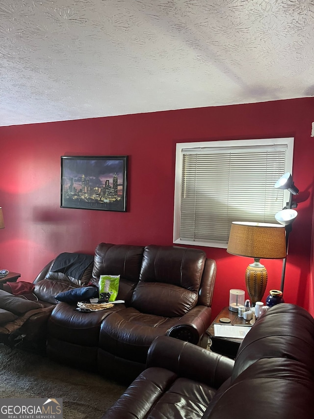 living room featuring a textured ceiling