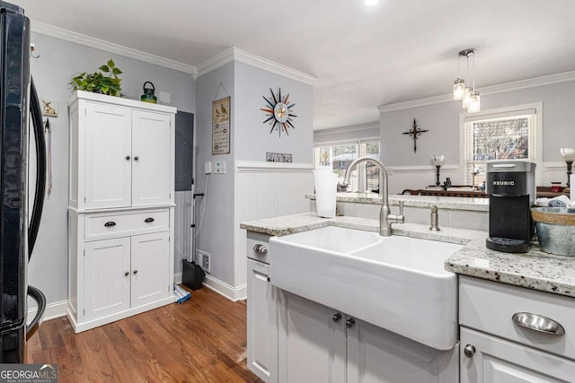 kitchen with dark wood-style flooring, freestanding refrigerator, crown molding, pendant lighting, and a sink