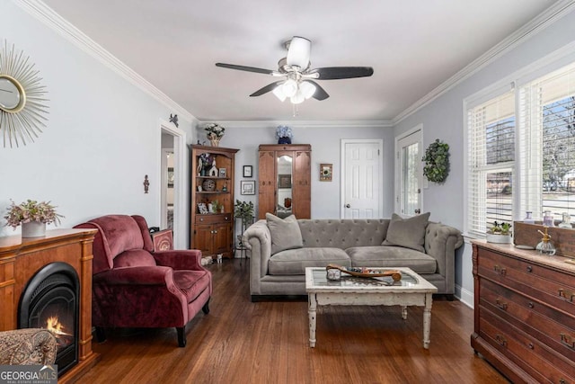 living room with ceiling fan, a lit fireplace, wood finished floors, and crown molding