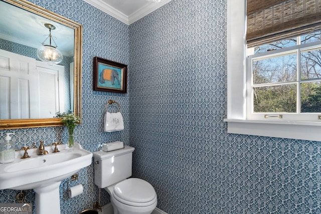 bathroom with toilet, a sink, and crown molding