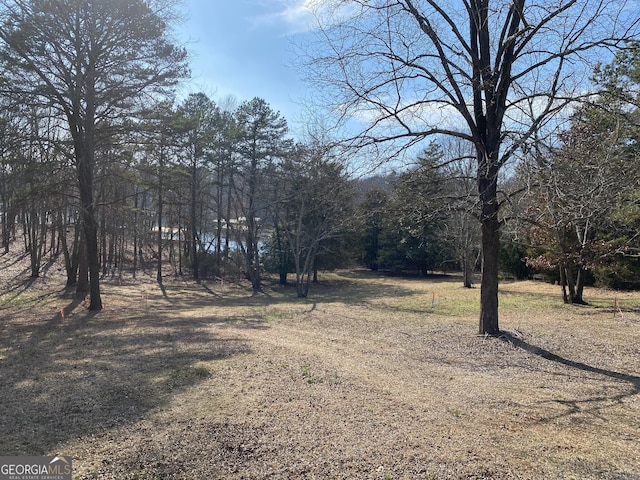 Listing photo 3 for LOTH Majestic Shores Road, Hartwell GA 30643