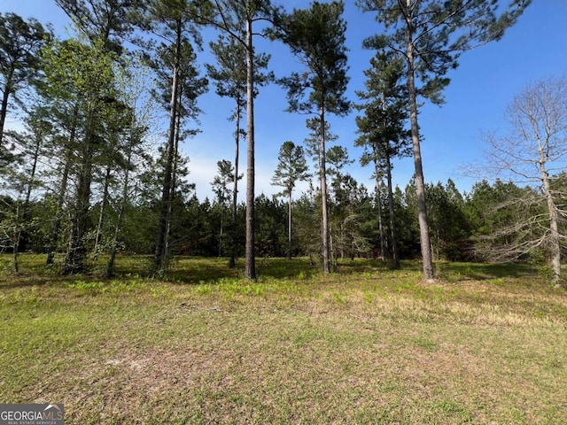 17 Shorebird Way, Brunswick GA, 31523 land for sale