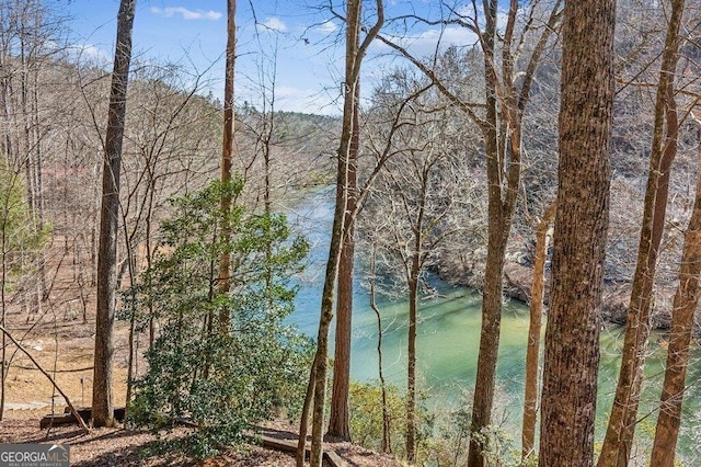 view of water feature with a view of trees