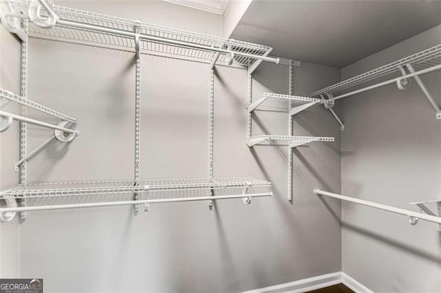 view of walk in closet