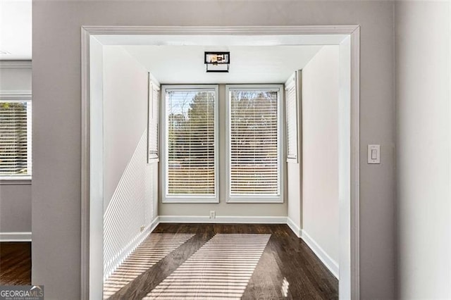 interior details with baseboards and wood finished floors