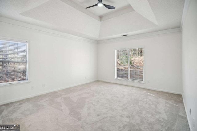 carpeted spare room with ceiling fan, a tray ceiling, and a healthy amount of sunlight